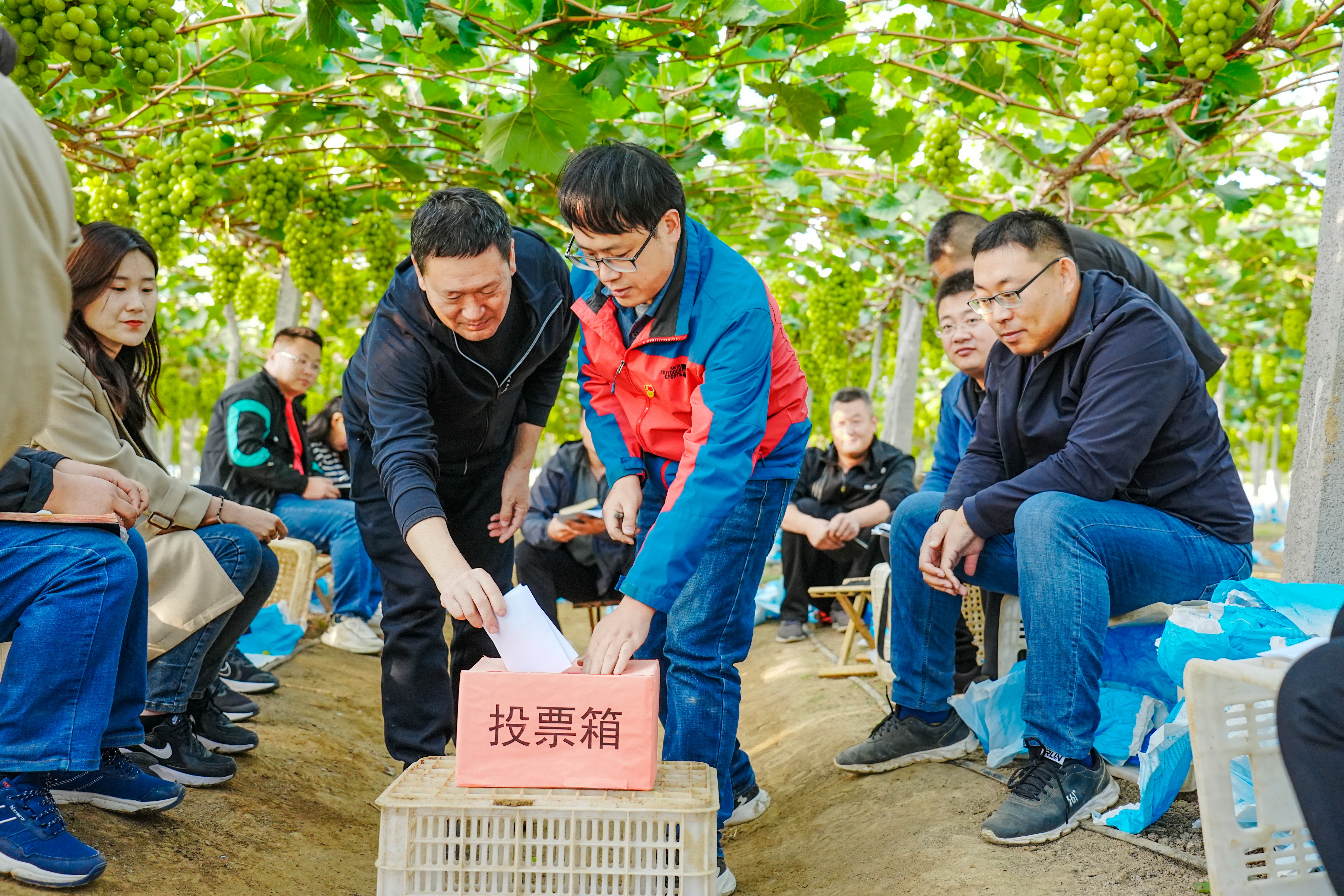 20330_調整大小.jpg